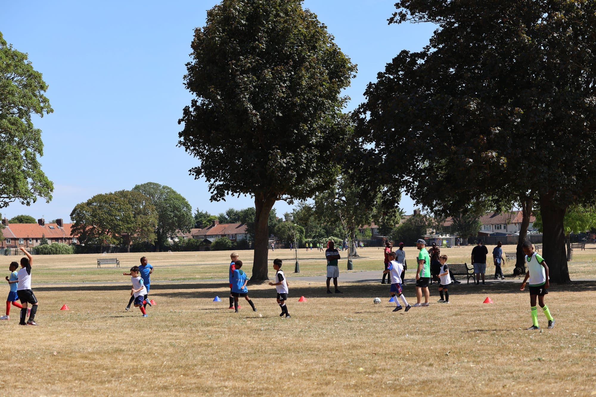 A wide view of a busy summer session in the park, framed by big trees